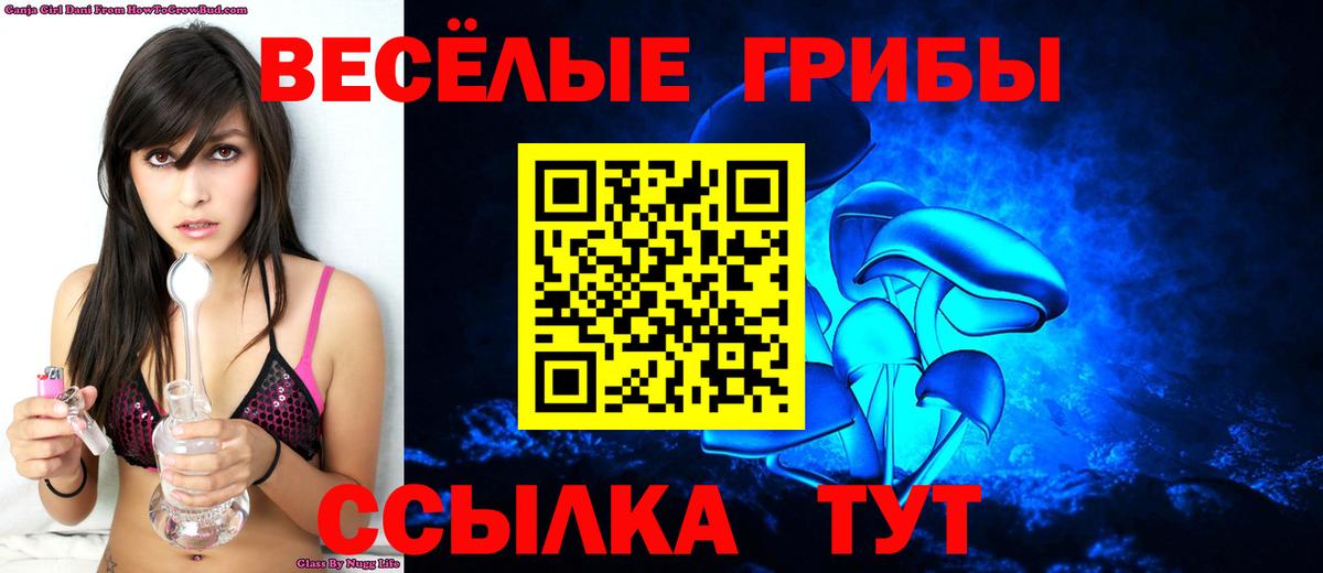 Галлюциногенные грибы мухоморы  Вход с VPN  Гусиноозёрск  Псилоцибиновые грибы Psilocybine cubensis 
